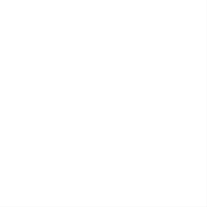 Lidl Logo Blanco Fonktown
