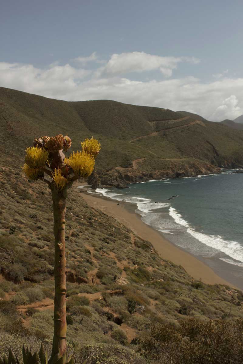 baja california 1 production company Fonktown Mexico