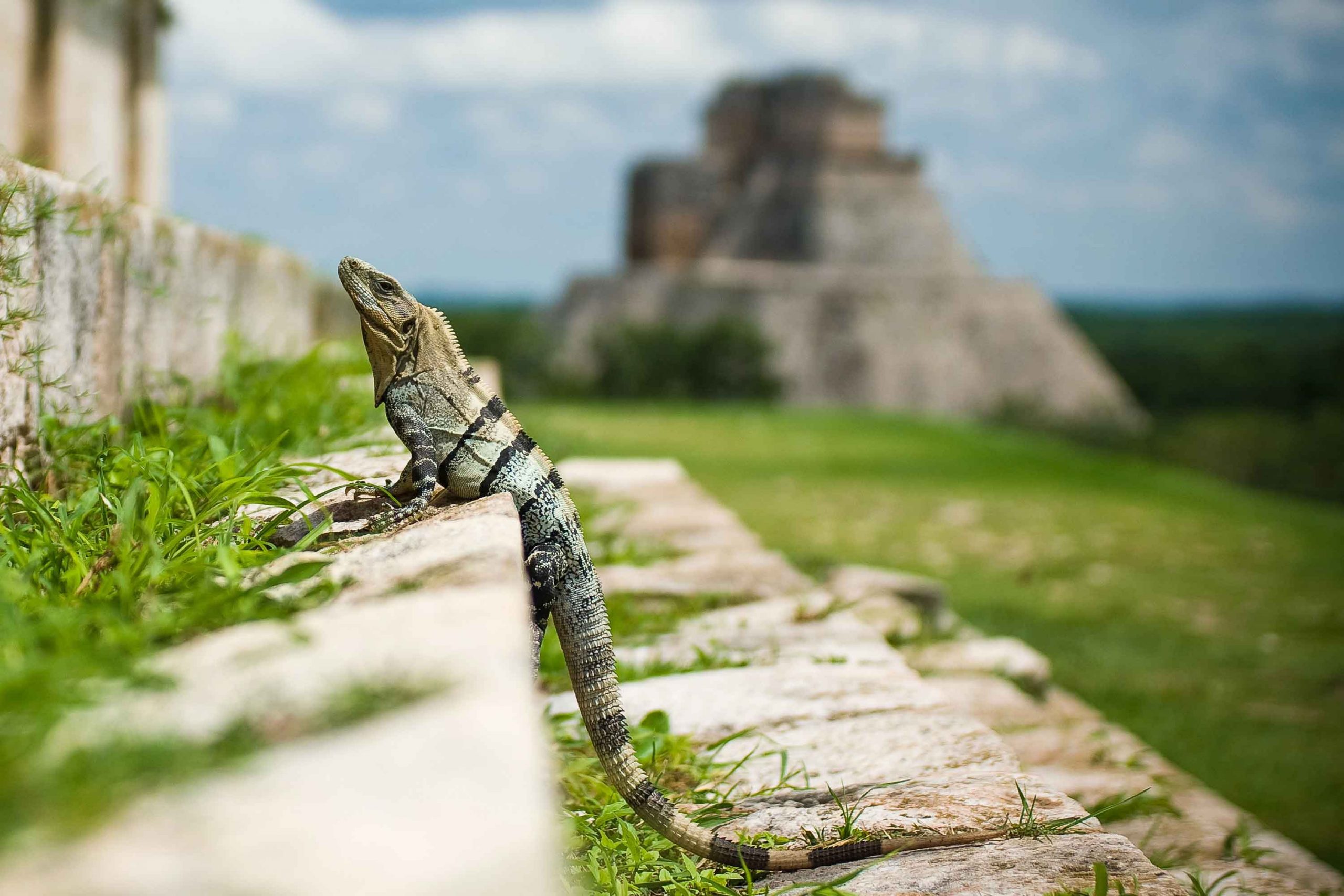 Fonktown production company in Mexico - Riviera Maya - mayan riviera scaled
