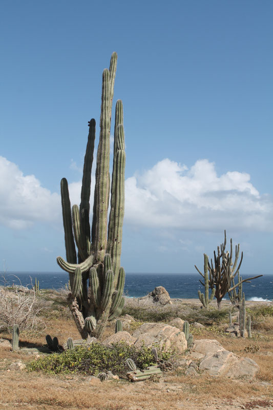 Location manager in Mexico - Fonktown