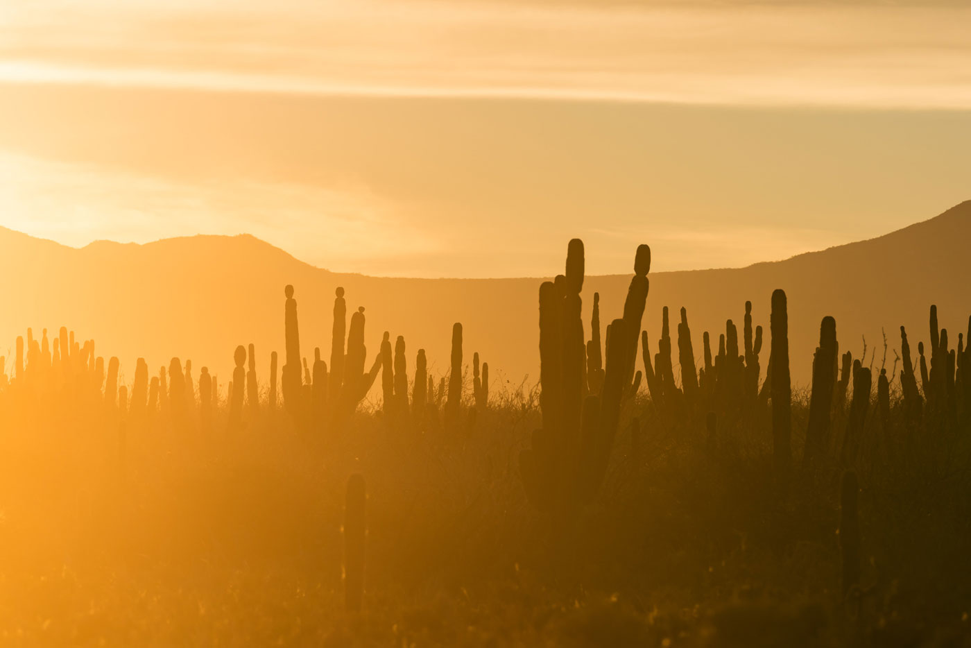 How to choose the best location manager in Mexico
